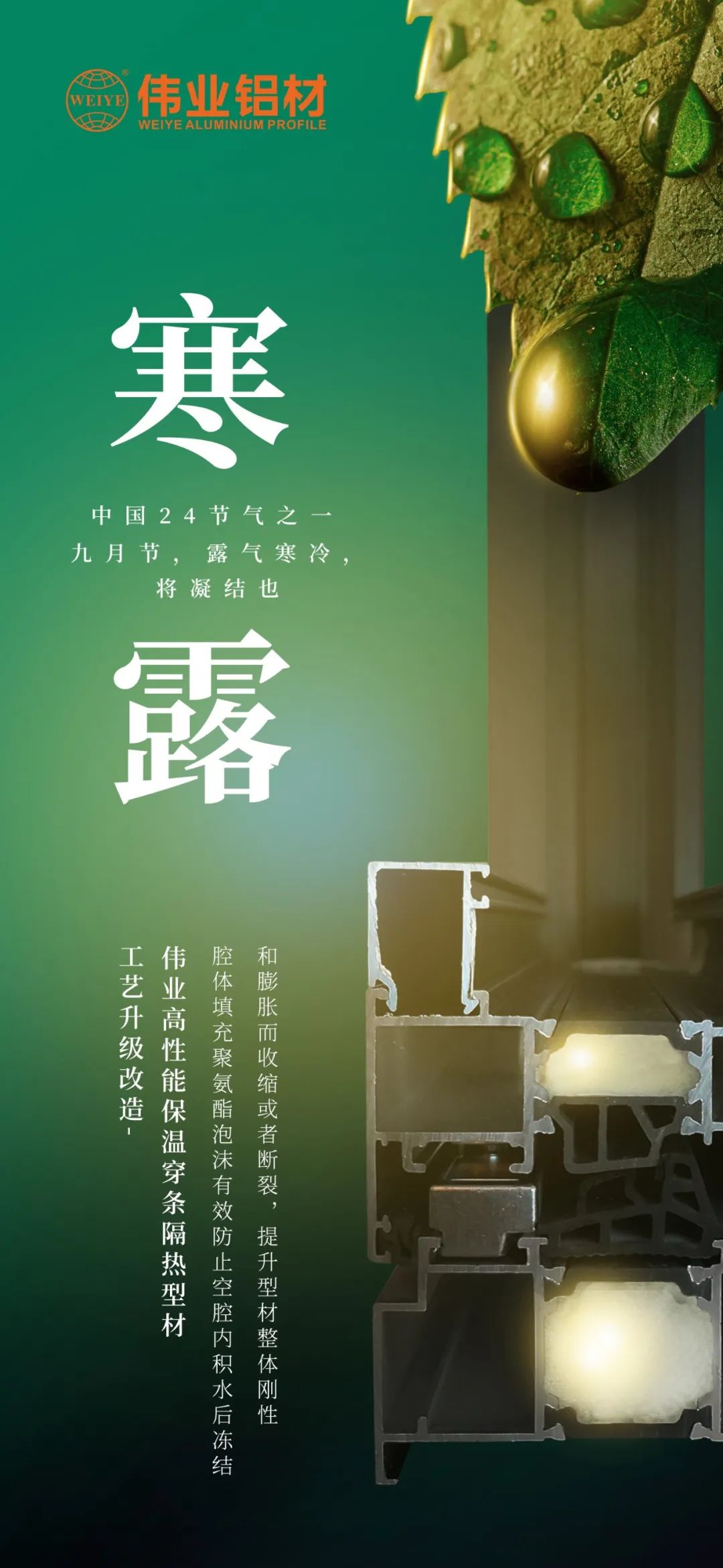 #寒露 九月节，，露气严寒，，将凝聚也 时光入深秋，，岁月便深情